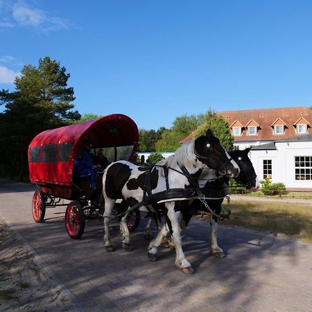 Hotel Heiderose Hiddensee 노이엔도르프 외부 사진