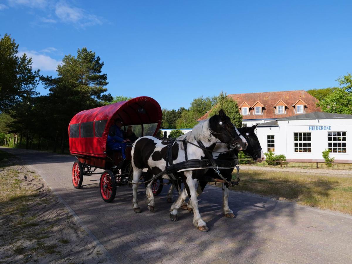 Hotel Heiderose Hiddensee 노이엔도르프 외부 사진