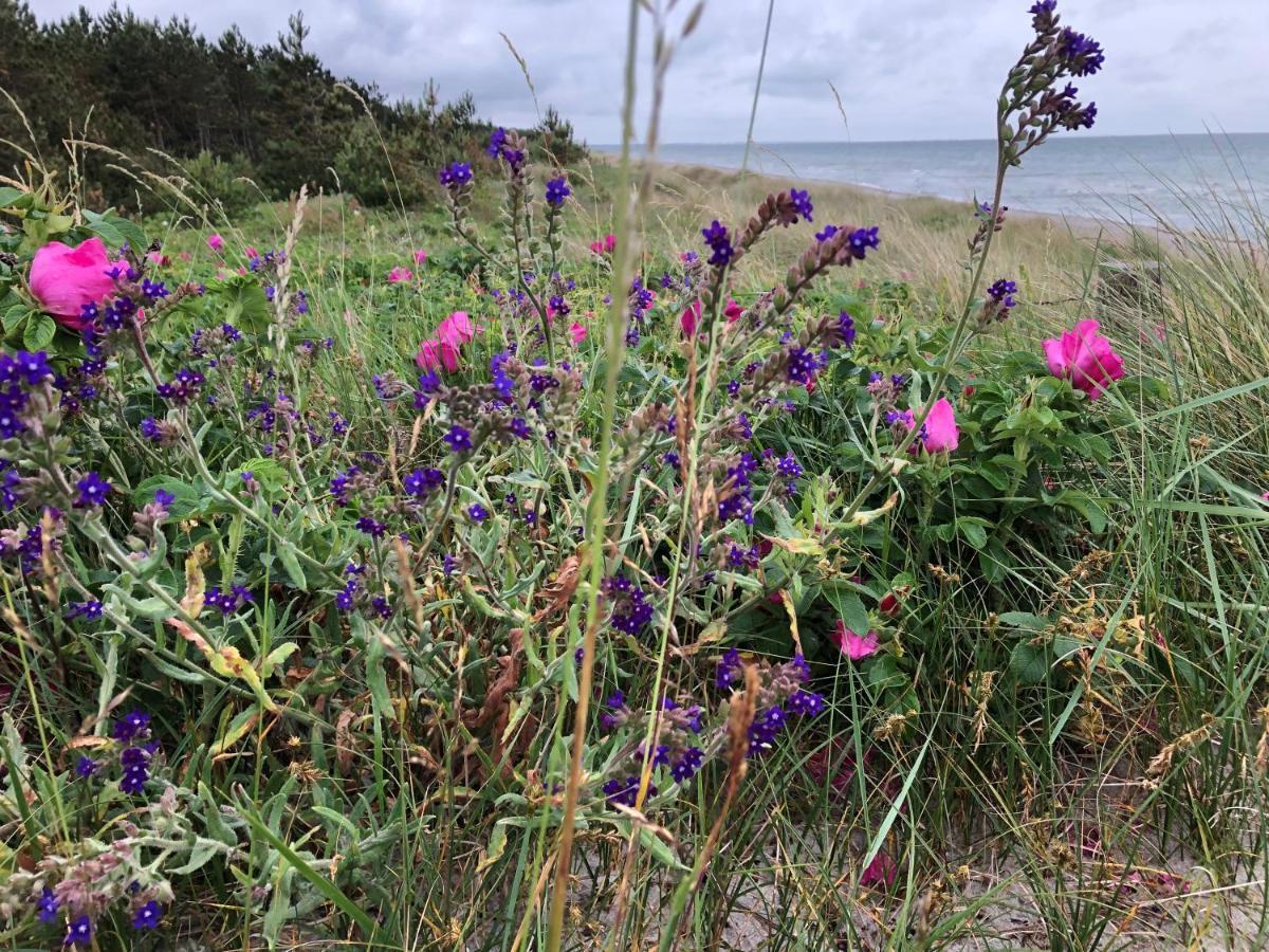 Hotel Heiderose Hiddensee 노이엔도르프 외부 사진
